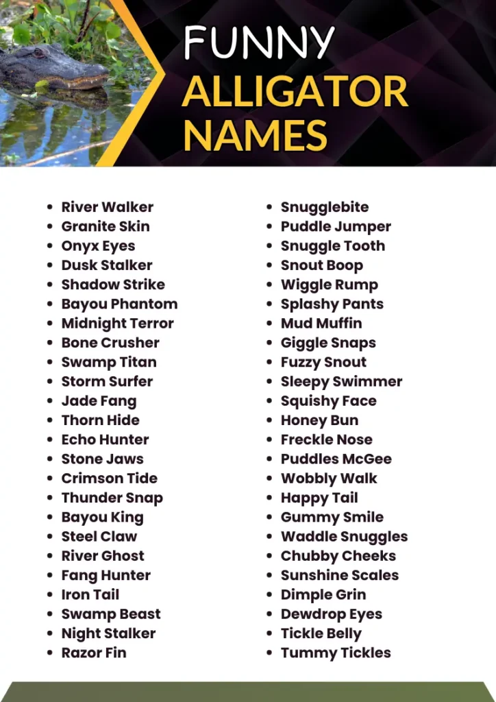 Funny Alligator Names infographic