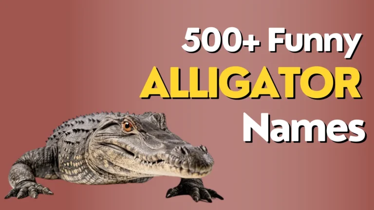 281+ Funny Alligator Names + Try AI Generator