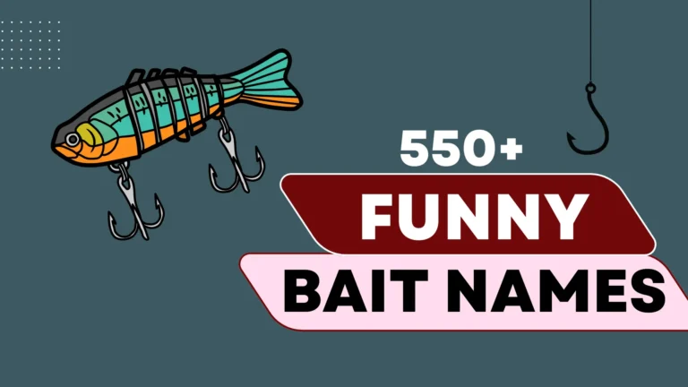 Funny Bait Names: 291+ Meaningful Ideas (2024) 
