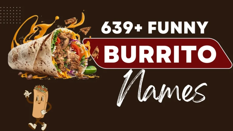 350+ Funny Burrito Names to Spice Up Your Meal