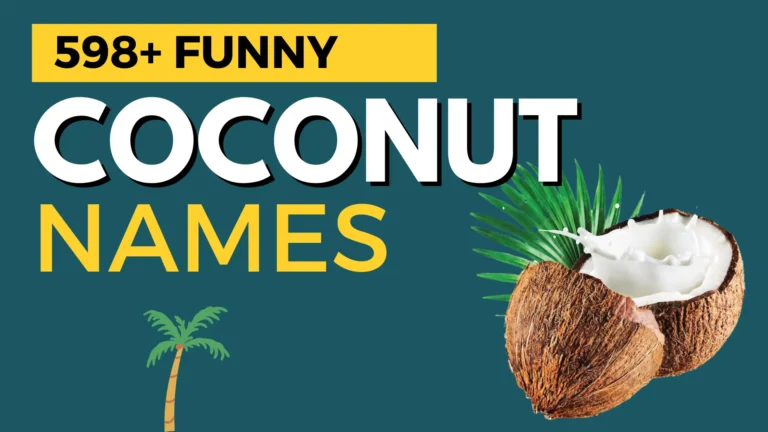 Funny Coconut Names: 231+ Ideas & Meanings