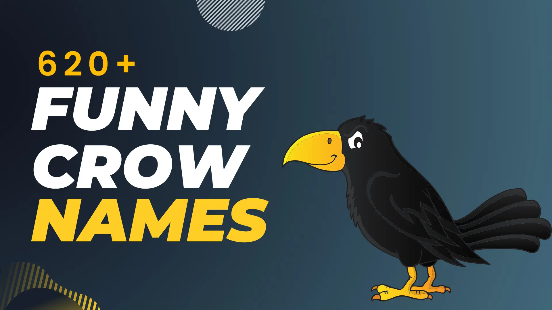 Funny Crow Names