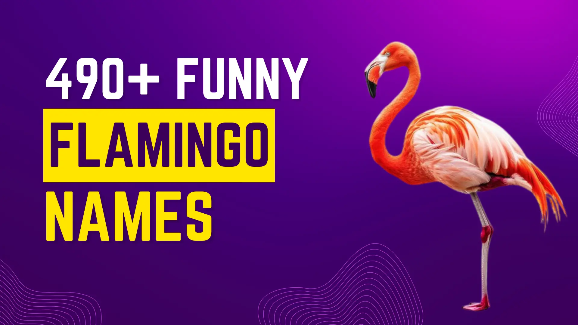 Funny Flamingo Names