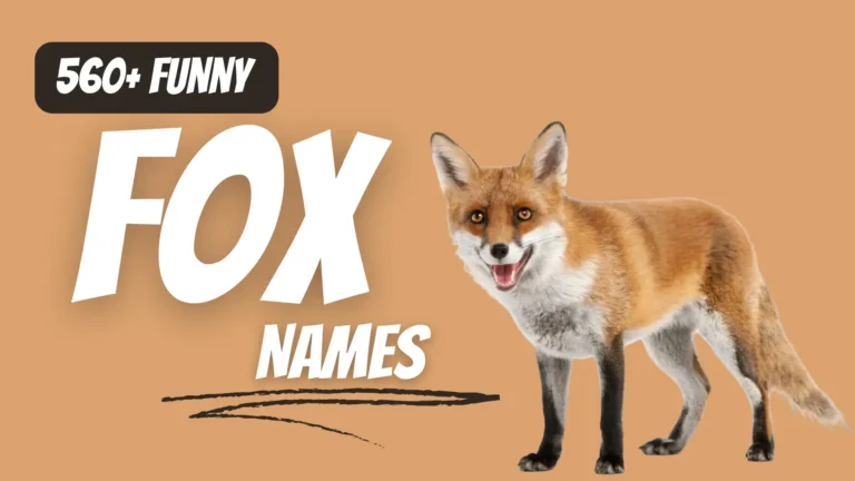 275+ Funny Fox Name Ideas + Generator [2024]