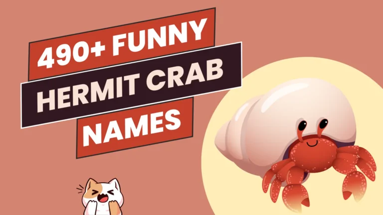 317+ Hermit Crab Names + AI Generator