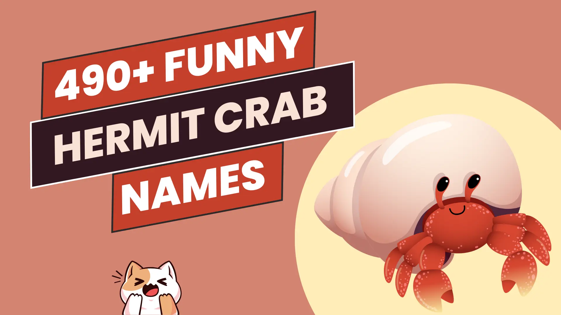 Funny Hermit Crab Names