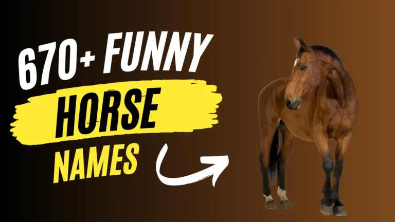 392+ Funny Horse Names + Generator [2024]