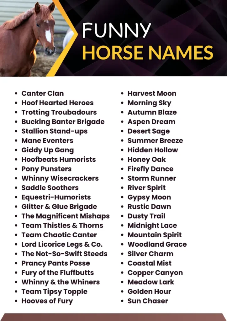 Funny Horse Names infographic