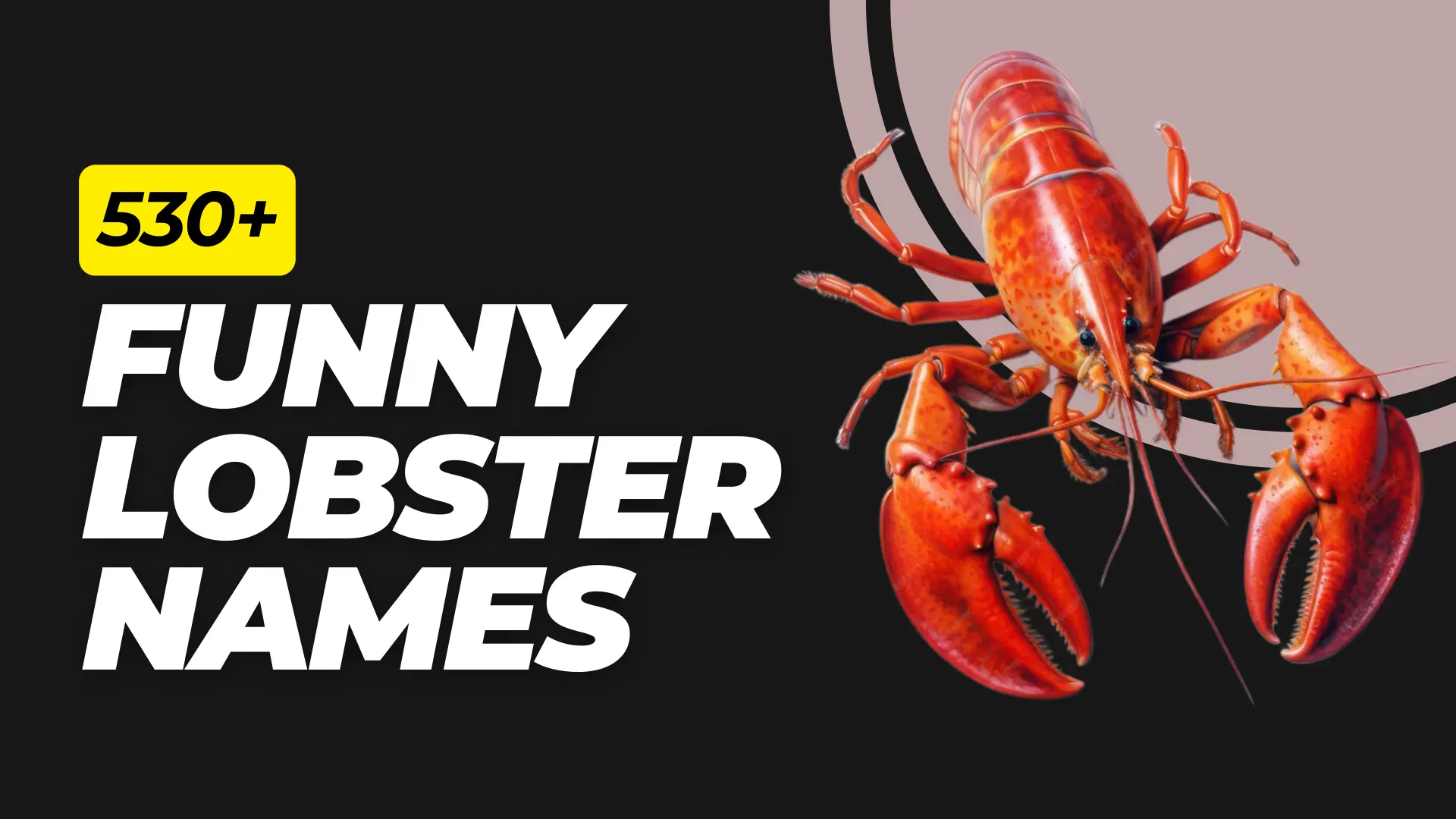 Funny Lobster Names