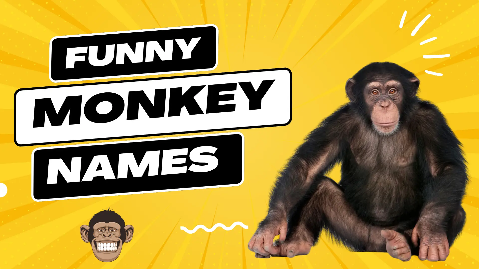 Funny Monkey Names