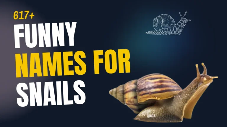 Need a Funny Snail Name? We’ve Got the Goods