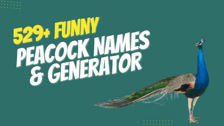 297+ Funny Peacock Names + Generator (2024)