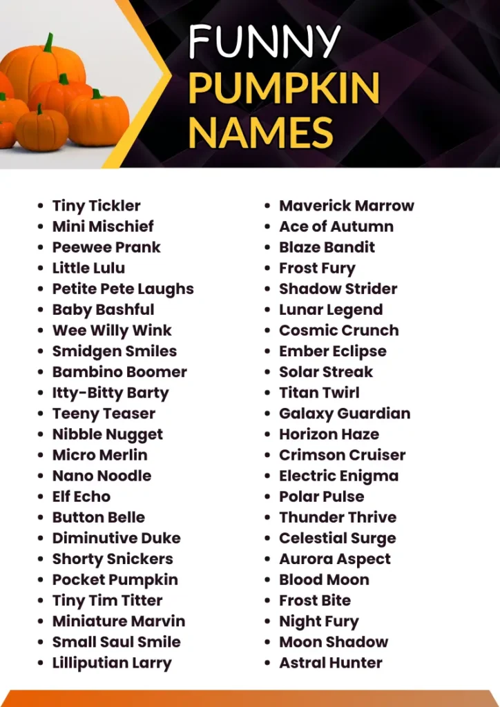 Funny Pumpkin Names infographic