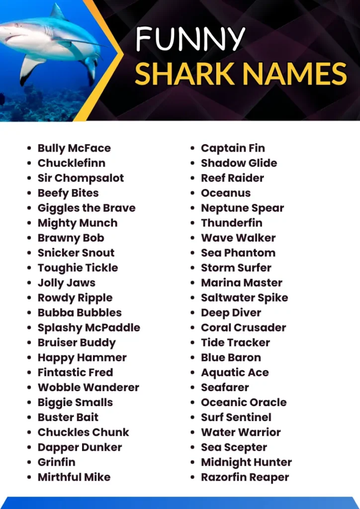 Funny Shark Names infographic