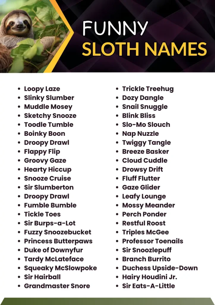 Funny Sloth Names infographic