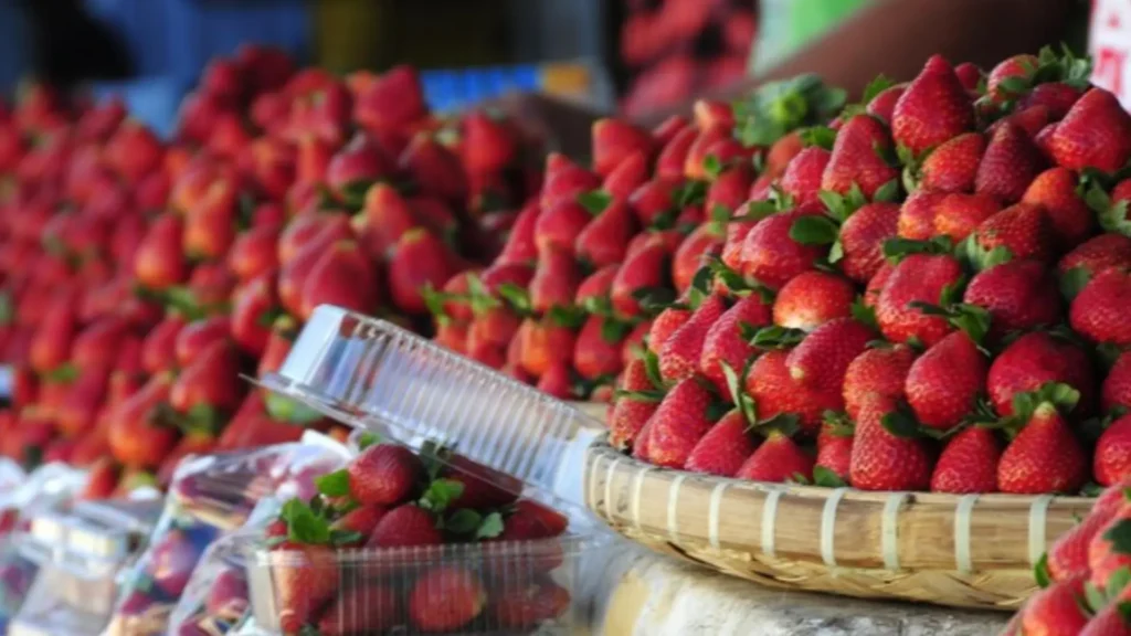 Funny Strawberry Shop Names - Namerse