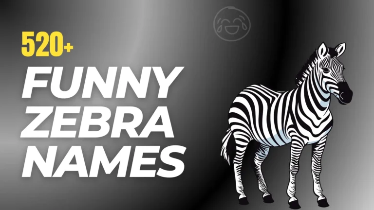 274+ Funny Zebra Name Ideas + Generator [2024]