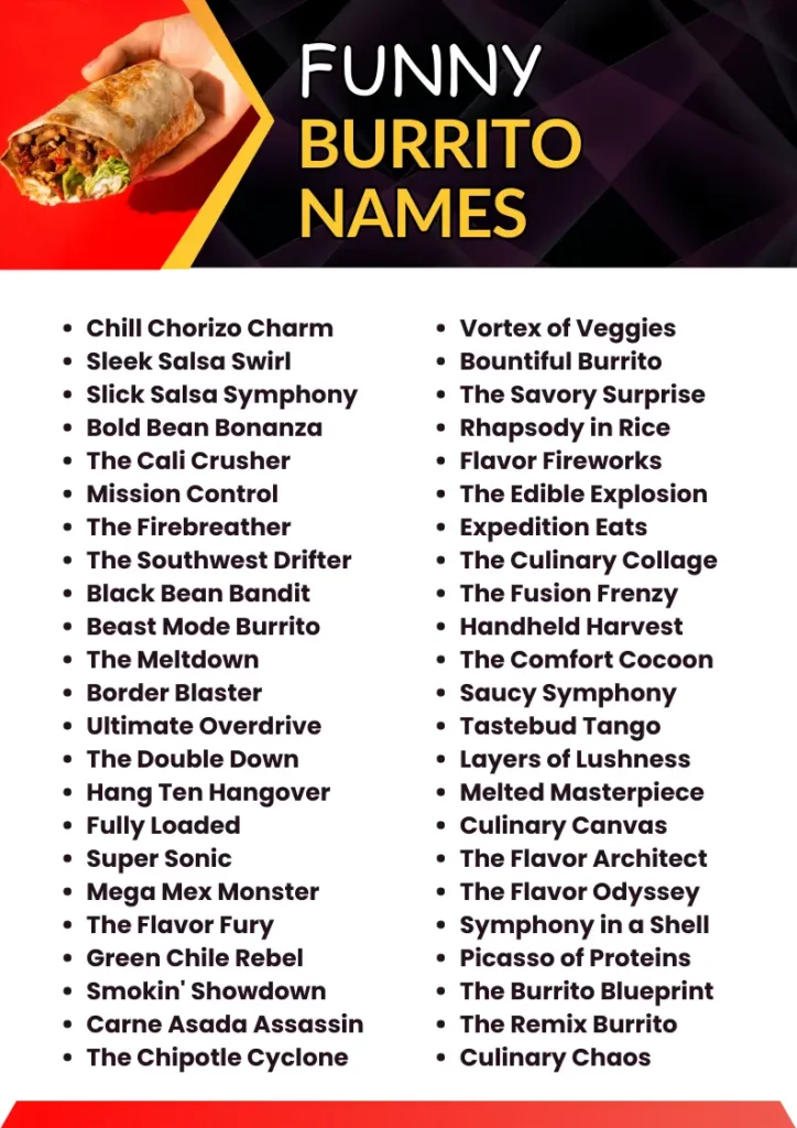 Funny Burrito Names  infographic