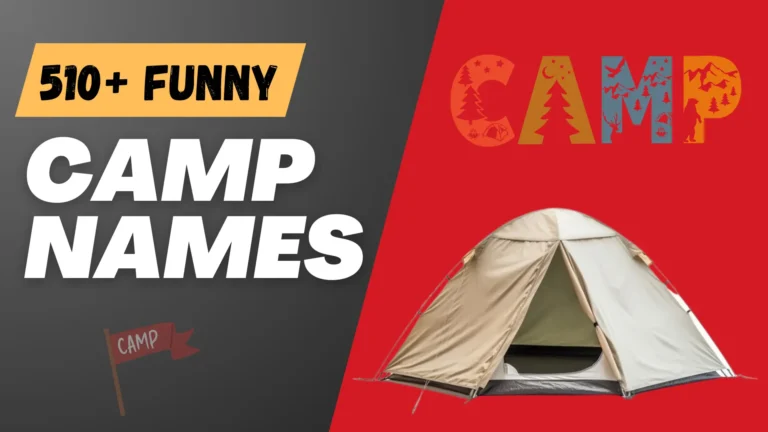 217+ Funny Camp Names + AI Generator [2024]