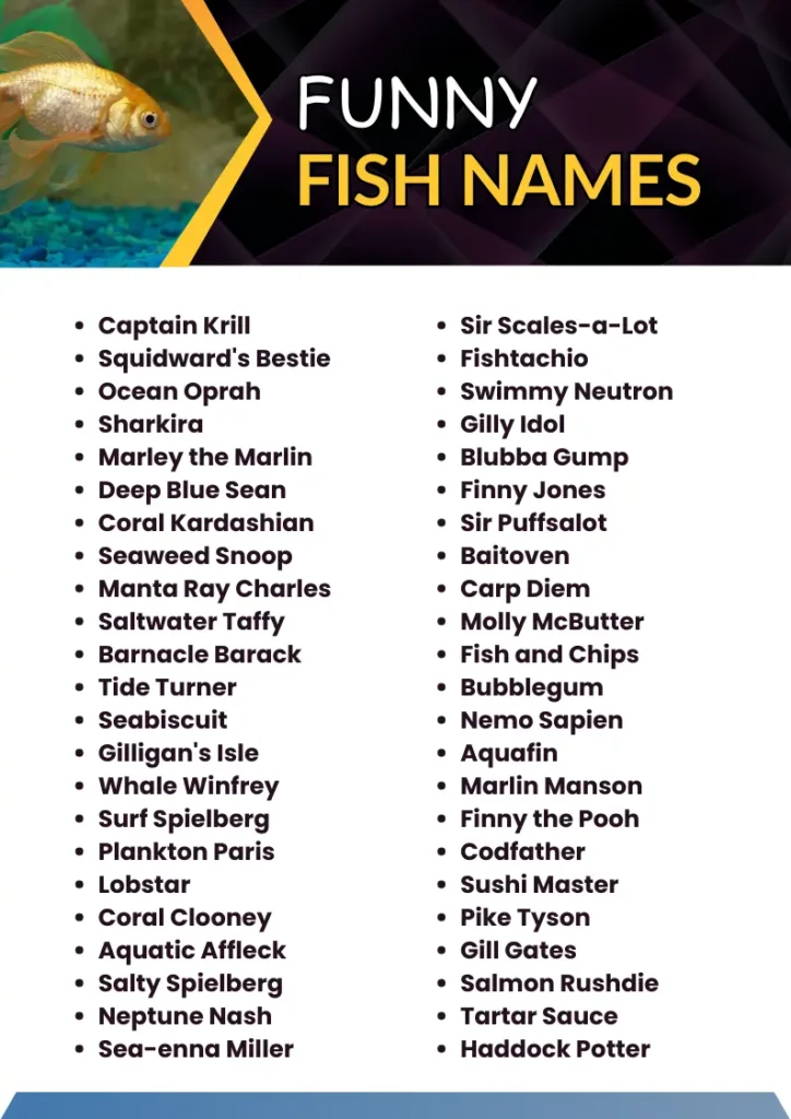 Funny Fish Names infographic