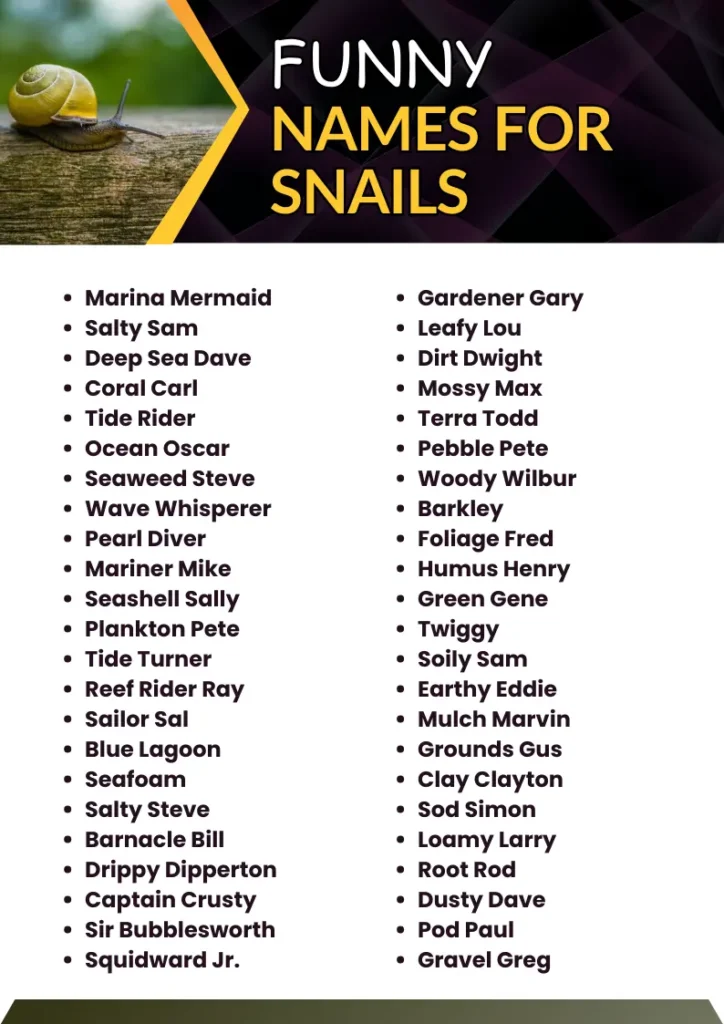 Funny Names for Snails  infographic