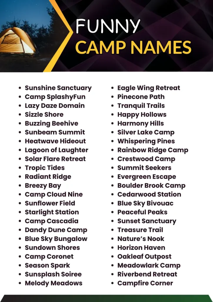 Funny Camp Names infographic