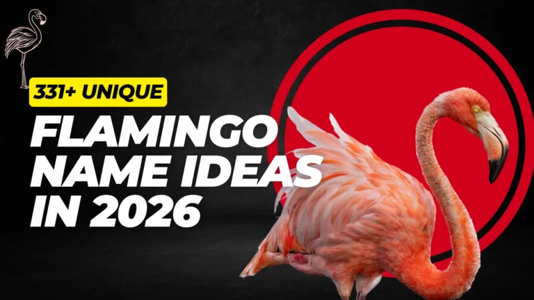 Unique Flamingo Name Ideas